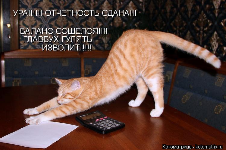 Котоматрица: УРА!!!!!! ОТЧЕТНОСТЬ СДАНА!!!  БАЛАНС СОШЕЛСЯ!!!!  ГЛАВБУХ ГУЛЯТЬ  ИЗВОЛИТ!!!!!