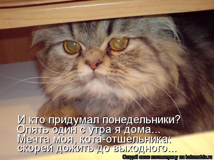 И кто придумал понедельники? Опять один с утра я дома... скорей дожить до выходного... Мечта моя, кот... Котоматрица: И кто придумал понедельники? Опять один с утра я дома... скорей дожить до выходного... Мечта моя, кота-отшельника: