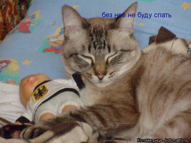 без неё не буду спать... Котоматрица: без неё не буду спать