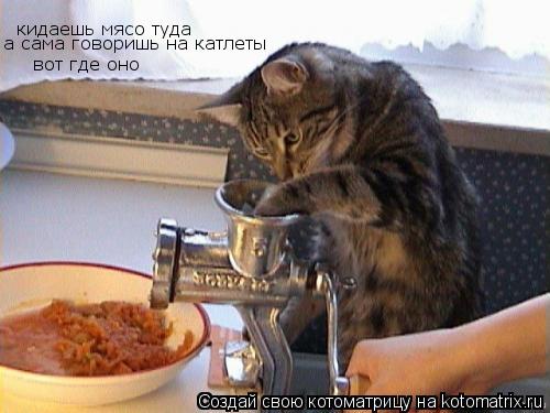 Котоматрица: кидаешь мясо туда а сама говоришь на катлеты вот где оно