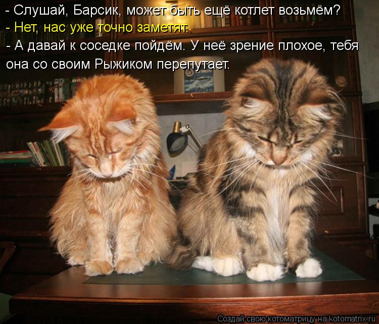 Котоматрица: - Слушай, Барсик, может быть ещё котлет возьмём? - Нет, нас уже точно заметят. - А давай к соседке пойдём. У неё зрение плохое, тебя  она со своим 
