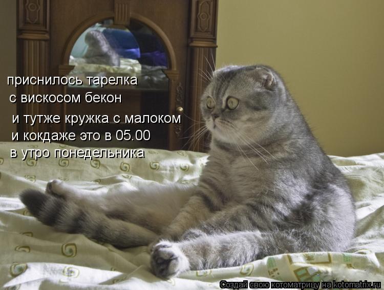 приснилось тарелка с вискосом бекон и тутже кружка с малоком и кокдаже это в 05.00 в утро понедельн... Котоматрица: приснилось тарелка с вискосом бекон и тутже кружка с малоком и кокдаже это в 05.00 в утро понедельника