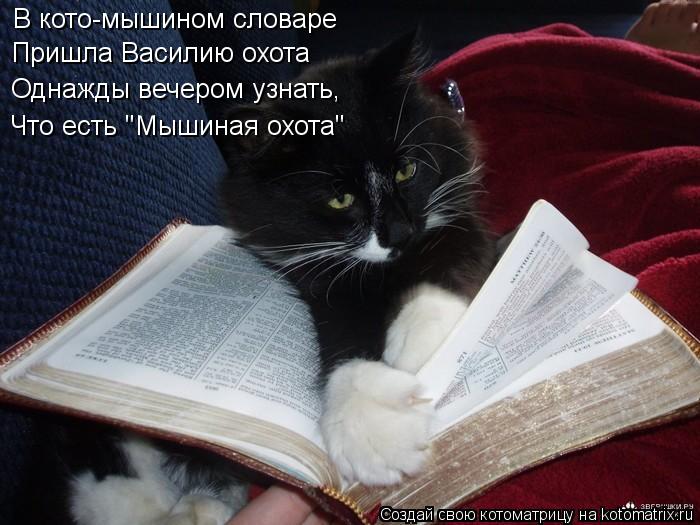 Котоматрица: В кото-мышином словаре Пришла Василию охота Однажды вечером узнать, Что есть "Мышиная охота"