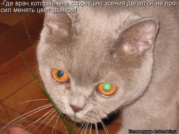 Котоматрица: -Где врач,который мне коррекцию зрения делал?Я не про- сил менять цвет зрачков!