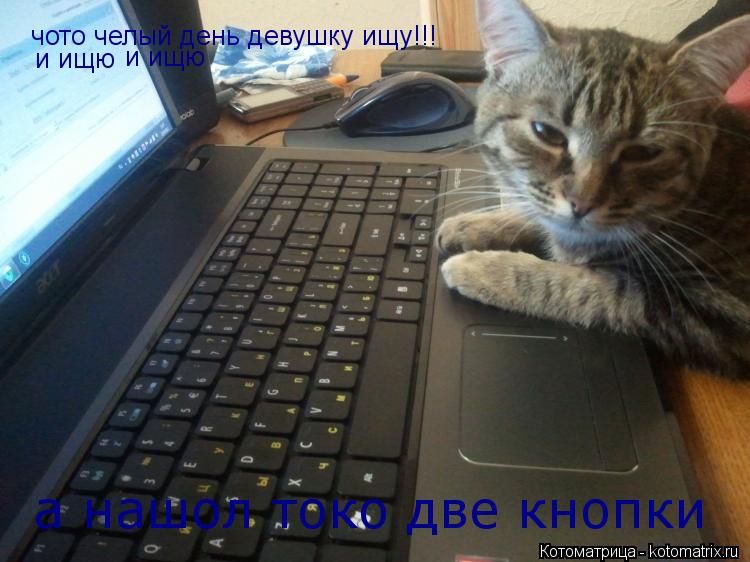 чото челый день девушку ищу!!! и ищю и ищю а нашол токо две кнопки... Котоматрица: чото челый день девушку ищу!!! и ищю и ищю а нашол токо две кнопки