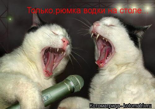Только,рюмка водки на столе...... Котоматрица: Только,рюмка водки на столе...