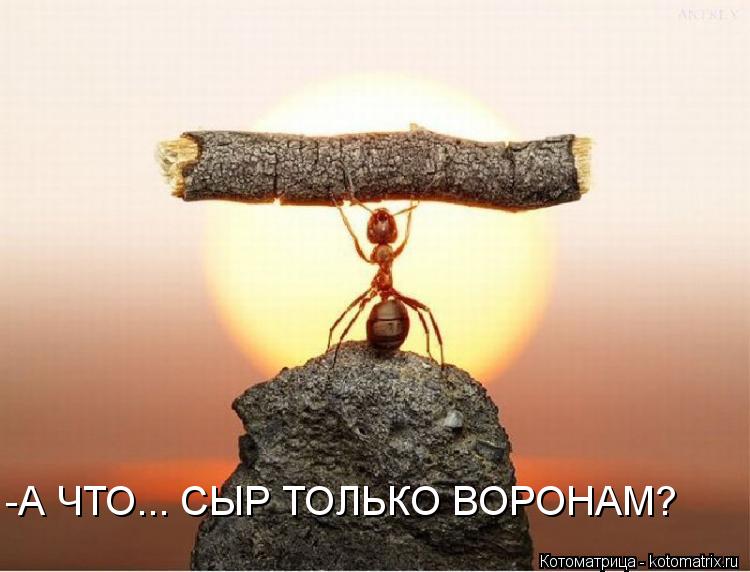 Котоматрица: -А ЧТО... СЫР ТОЛЬКО ВОРОНАМ?