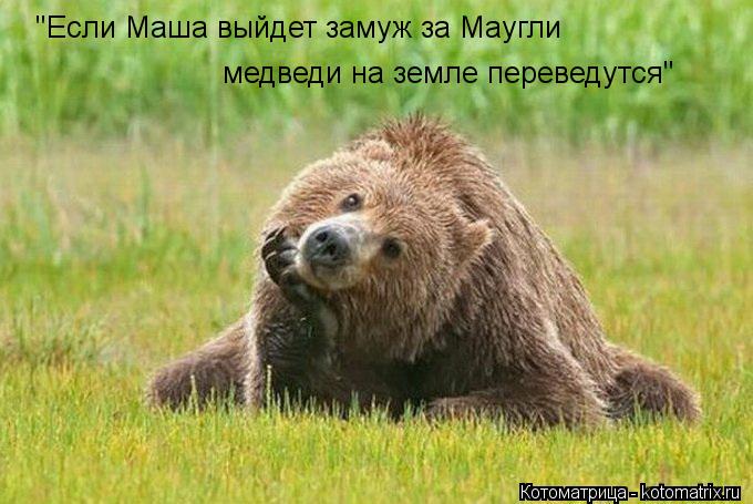 Котоматрица: "Если Маша выйдет замуж за Маугли медведи на земле переведутся"
