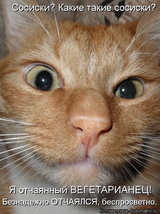 Котоматрица: Сосиски? Какие такие сосиски? Я отчаянный ВЕГЕТАРИАНЕЦ! Безнадежно ОТЧАЯЛСЯ, беспросветно.