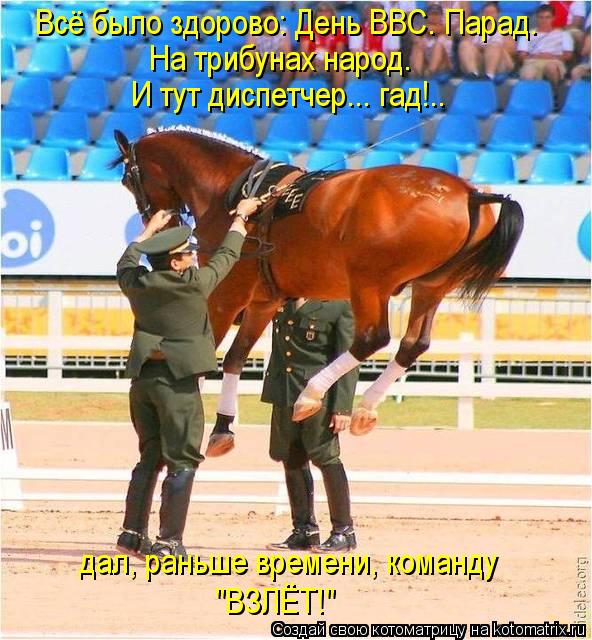 Котоматрица: Всё было здорово: День ВВС. Парад. На трибунах народ. И тут диспетчер... гад!.. дал, раньше времени, команду "ВЗЛЁТ!"