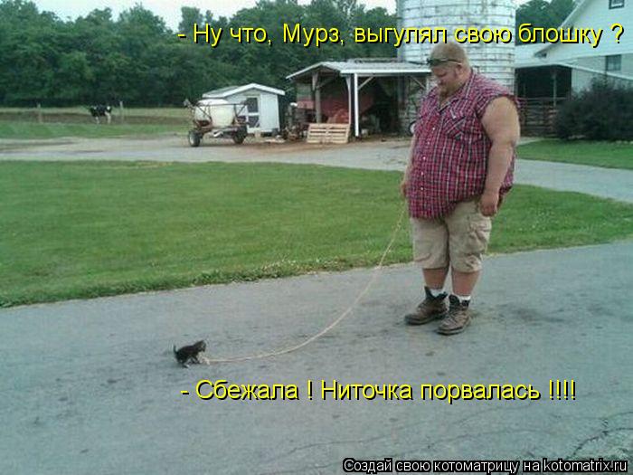 Котоматрица: - Ну что, Мурз, выгулял свою блошку ? - Сбежала ! Ниточка порвалась !!!!