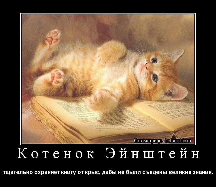 Котенок Эйнштейн тщательно охраняет книгу от крыс, дабы не были съедены великие знания.... Котоматрица: Котенок Эйнштейн тщательно охраняет книгу от крыс, дабы не были съедены великие знания.