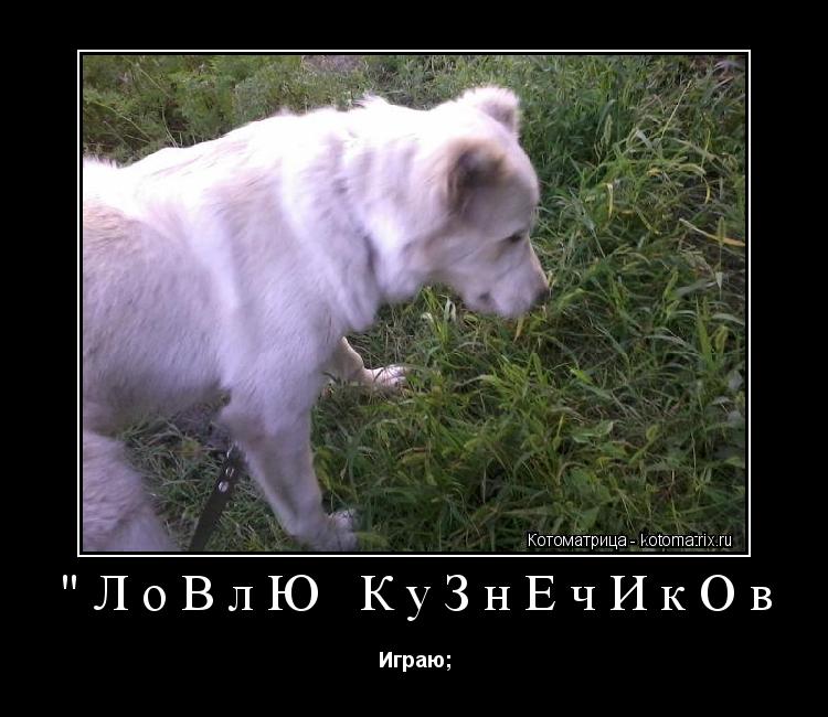 Котоматрица: "ЛоВлЮ КуЗнЕчИкОв Играю;