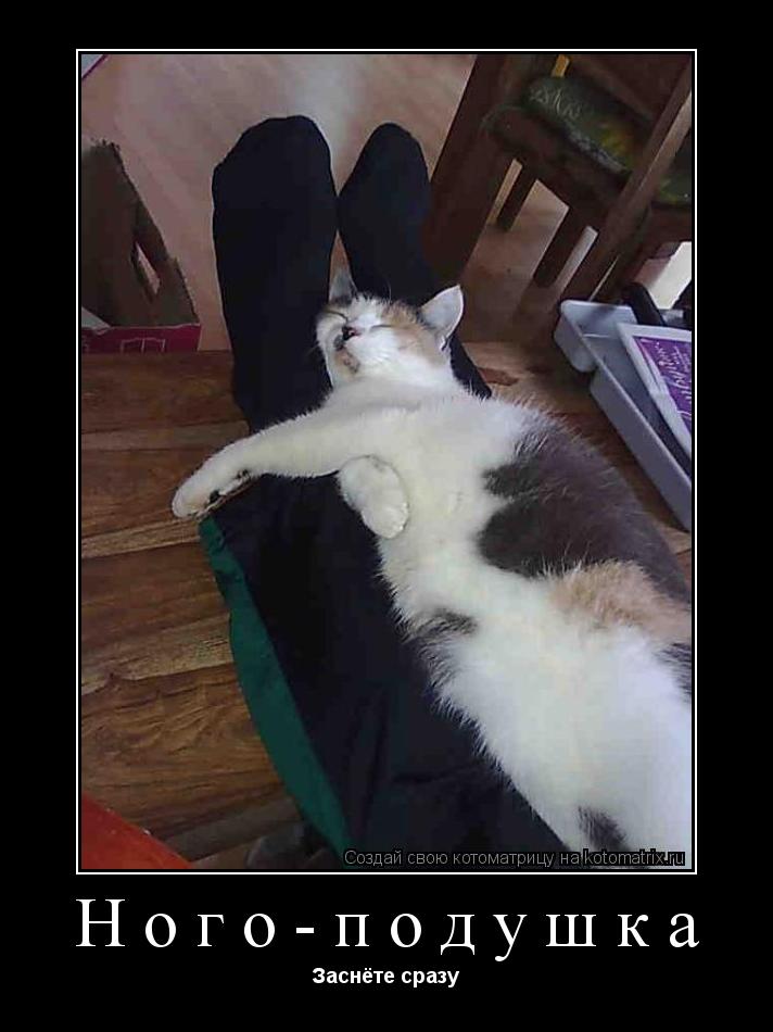 Ного-подушка Заснёте сразу... Котоматрица: Ного-подушка Заснёте сразу