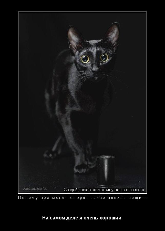 Котоматрица: Почему про меня говорят такие плохие вещи...  На самом деле я очень хороший 