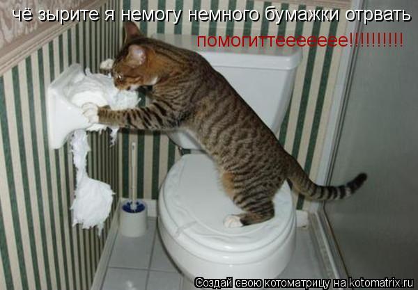 Котоматрица: чё зырите я немогу немного бумажки отрвать   помогиттеееееее!!!!!!!!!!