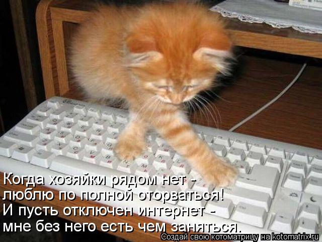 Котоматрица: мне без него есть чем заняться. Когда хозяйки рядом нет - люблю по полной оторваться! И пусть отключен интернет -