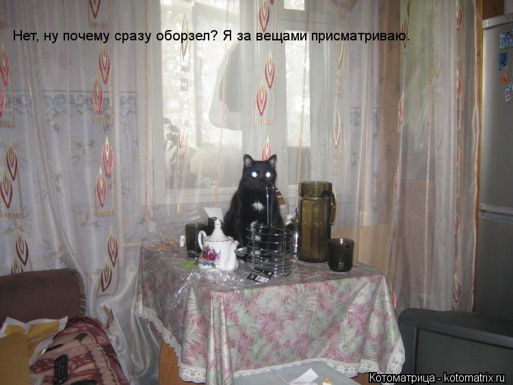 Нет, ну почему сразу оборзел? Я за вещами присматриваю.... Котоматрица: Нет, ну почему сразу оборзел? Я за вещами присматриваю.