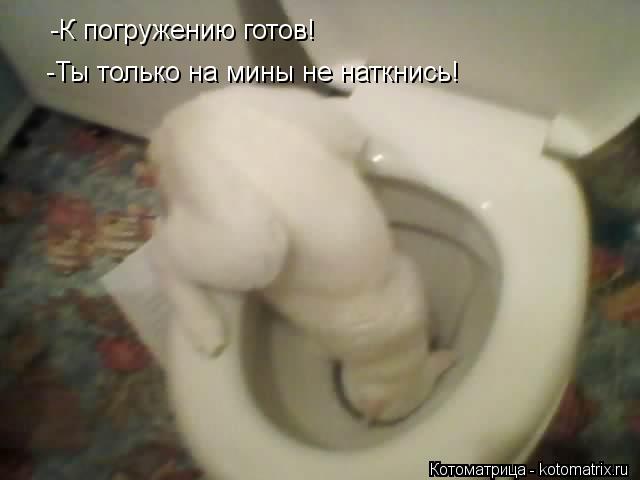-К погружению готов! -Ты только на мины не наткнись!... Котоматрица: -К погружению готов! -Ты только на мины не наткнись!