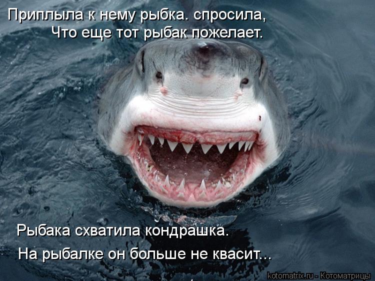 Котоматрица: Приплыла к нему рыбка. спросила,  Что еще тот рыбак пожелает. Рыбака схватила кондрашка. На рыбалке он больше не квасит...