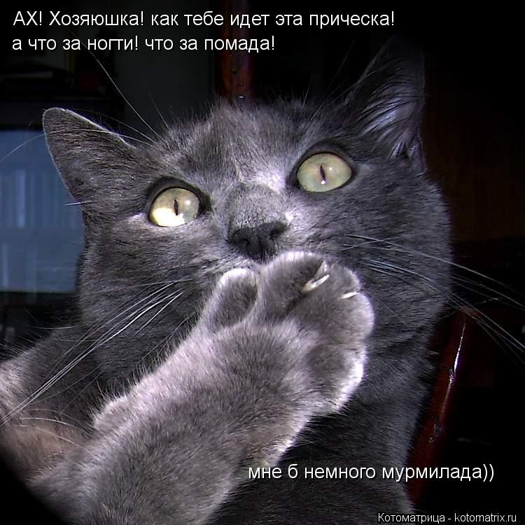 АХ! Хозяюшка! как тебе идет эта прическа! а что за ногти! что за помада! мне б немного мурмилада))... Котоматрица: АХ! Хозяюшка! как тебе идет эта прическа! а что за ногти! что за помада! мне б немного мурмилада))