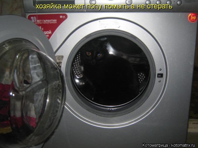 хозяйка может попу помыть а не стерать... Котоматрица: хозяйка может попу помыть а не стерать