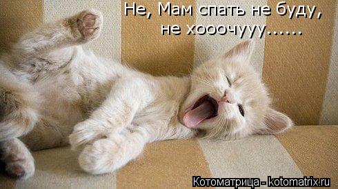 Котоматрица: Не, Мам спать не буду,  не хооочууу......