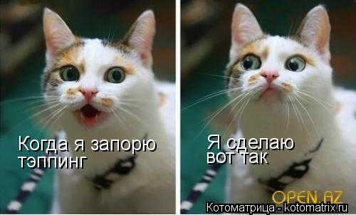 Котоматрица: Когда я запорю тэппинг Я сделаю вот так