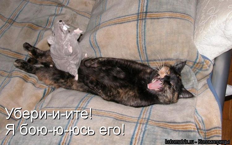 Котоматрица: Убери-и-ите! Я бою-ю-юсь его!