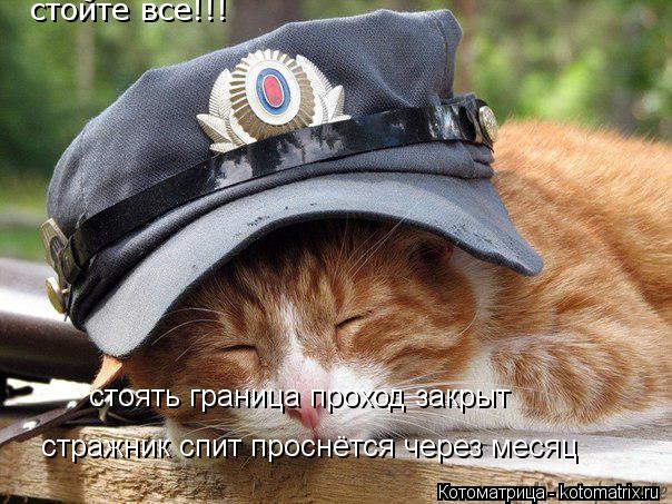 Котоматрица: стоять граница проход закрыт стоять граница проход закрыт стражник спит проснётся через месяц стойте все!!!
