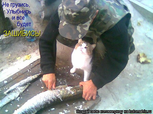 Не грузись, Улыбнись и все будет ЗАШИБИСЬ!... Котоматрица: Не грузись, Улыбнись и все будет ЗАШИБИСЬ!