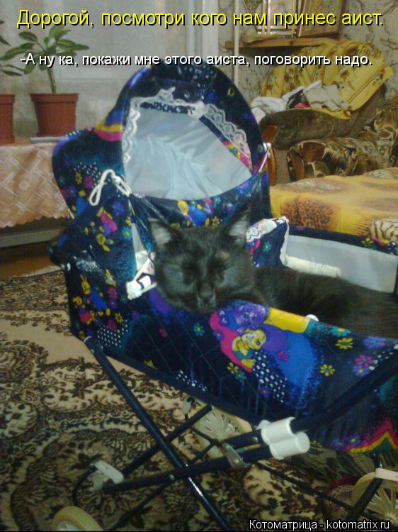Котоматрица: Дорогой, посмотри кого нам принес аист. -А ну ка, покажи мне этого аиста, поговорить надо.