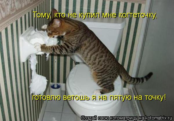 Котоматрица: Тому, кто не купил мне когтеточку, готовлю ветошь я на пятую на точку!