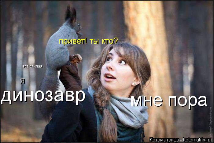 Котоматрица: вот слипая я  динозавр привет! ты кто? мне пора