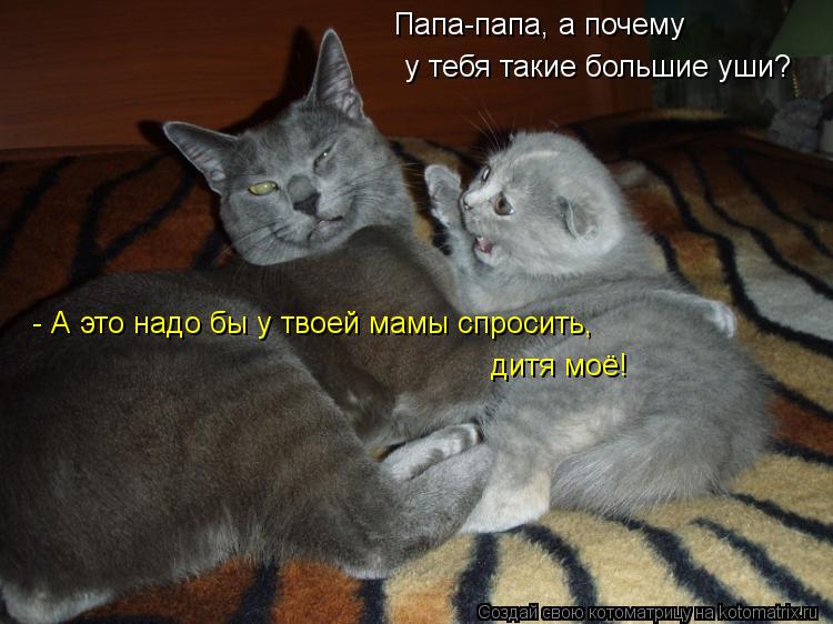 Котоматрица: Папа-папа, а почему  у тебя такие большие уши? - А это надо бы у твоей мамы спросить, дитя моё!
