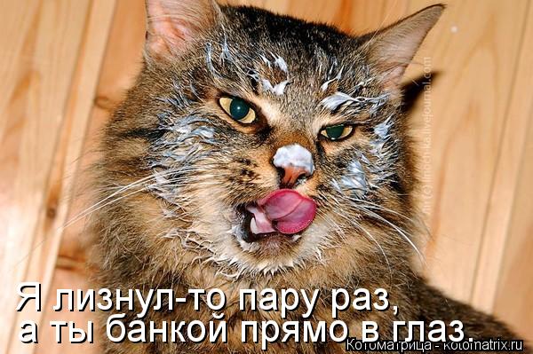Котоматрица: а ты банкой прямо в глаз. Я лизнул-то пару раз,