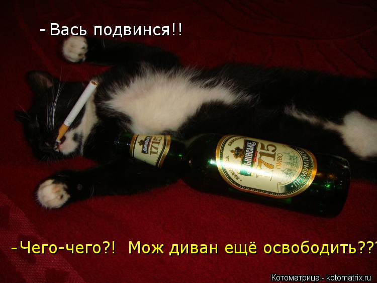 Котоматрица: Чего-чего?!  Мож диван ещё освободить??? Вась подвинся!! -  -