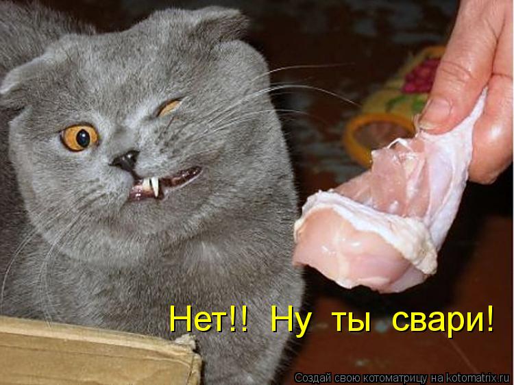 Котоматрица: Нет!!  Ну  ты  свари!