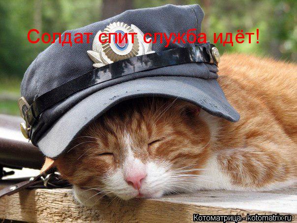 Котоматрица: Солдат спит служба идёт!