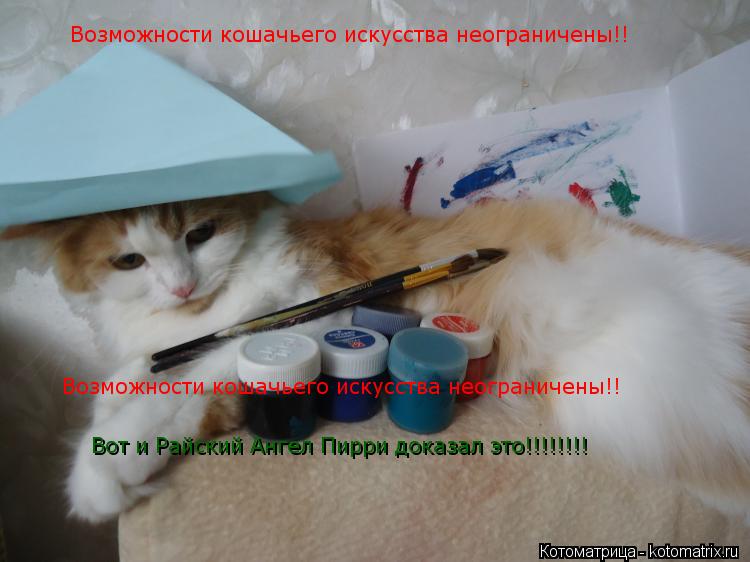 Котоматрица: Возможности кошачьего искусства неограничены!! Возможности кошачьего искусства неограничены!! Вот и Райский Ангел Пирри доказал это!!!!!!!!
