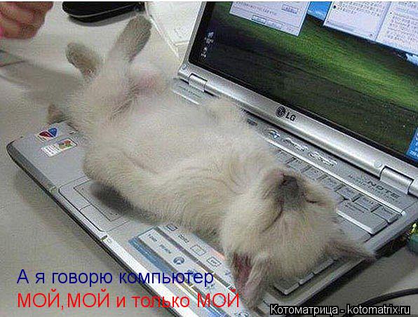 Котоматрица: А я говорю компьютер  МОЙ,МОЙ и только МОЙ