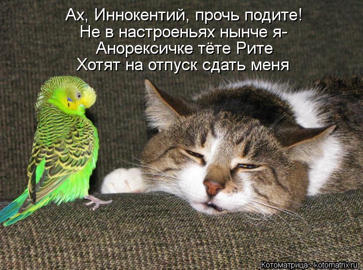 Котоматрица: Ах, Иннокентий, прочь подите! Не в настроеньях нынче я- Анорексичке тёте Рите Хотят на отпуск сдать меня
