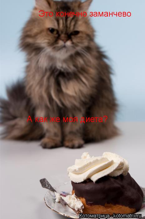 Котоматрица: Это конечно заманчево А как же моя диета?
