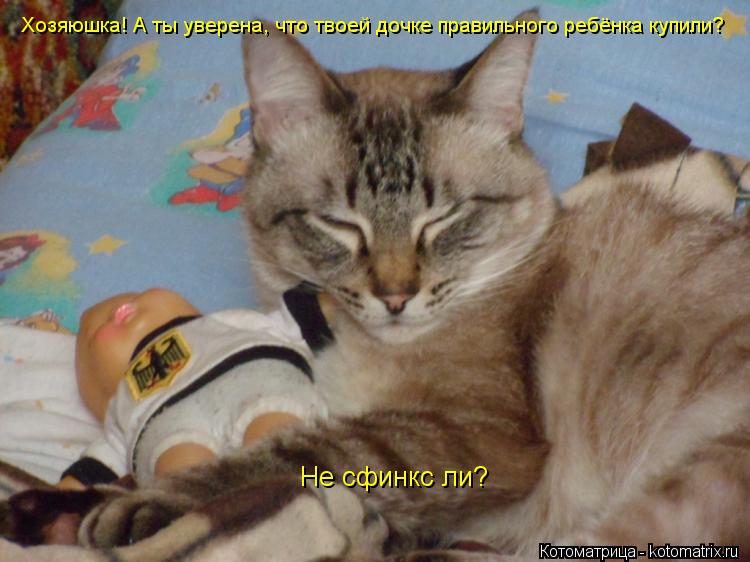 Котоматрица: Хозяюшка! А ты уверена, что твоей дочке правильного ребёнка купили? Не сфинкс ли?