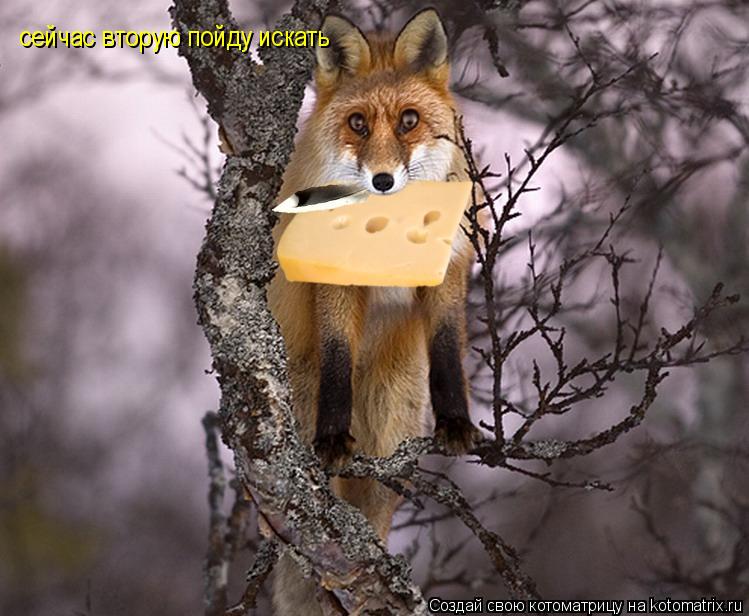 сейчас вторую пойду искать... Котоматрица: сейчас вторую пойду искать