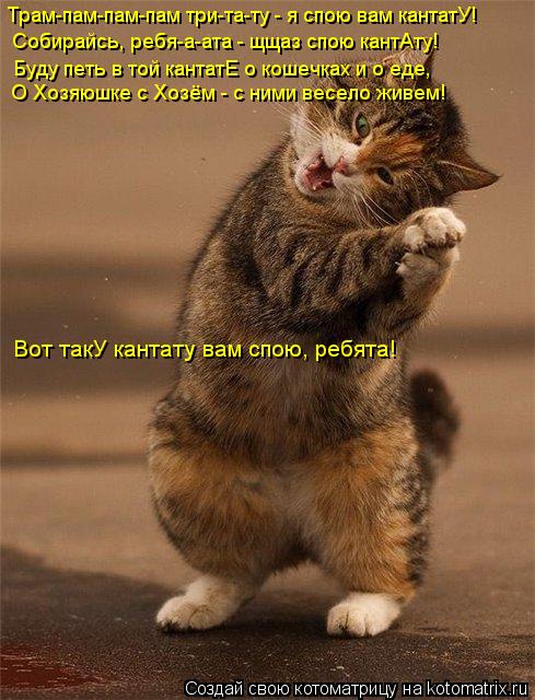Котоматрица: Трам-пам-пам-пам три-та-ту - я спою вам кантатУ! Собирайсь, ребя-а-ата - щщаз спою кантАту! Буду петь в той кантатЕ о кошечках и о еде, О Хозяюшке