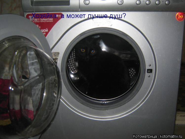 Котоматрица: Хозяйка, а может лучше душ?