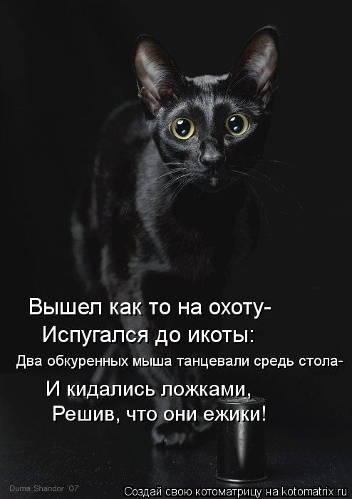 Котоматрица: Вышел как то на охоту- Испугался до икоты: Два обкуренных мыша танцевали средь стола-  И кидались ложками, Решив, что они ежики!