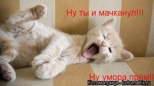 Котоматрица: Ну ты и мачканул!!! Ну умора,прям!!!