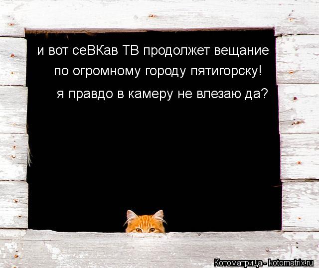 Котоматрица: и вот сеВКав ТВ продолжет вещание по огромному городу пятигорску! я правдо в камеру не влезаю да?